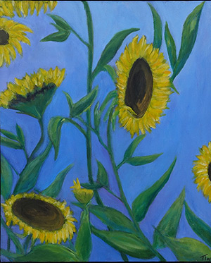 Sunflowers